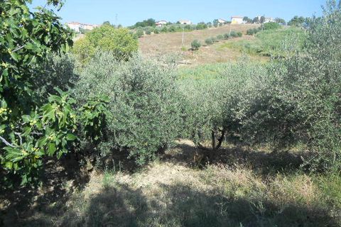Landejendom i Colonnella, Teramo, Colonnella - € 120.000 | Ref: cas661 - foto 14