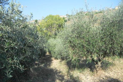 Landejendom i Colonnella, Teramo, Colonnella - € 120.000 | Ref: cas661 - foto 15