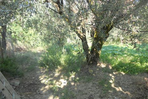 Landejendom i Colonnella, Teramo, Colonnella - € 120.000 | Ref: cas661 - foto 16