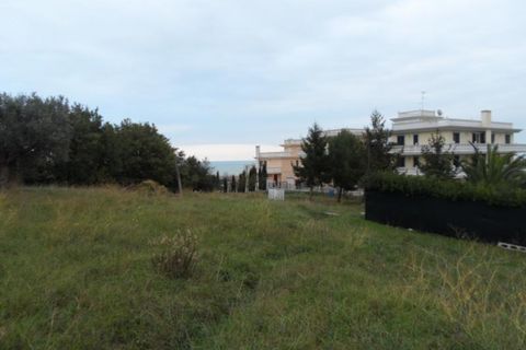 Tomt i Grottammare, Ascoli Piceno, Grottammare - € 1 300 000 | Ref: ter852 - foto 2