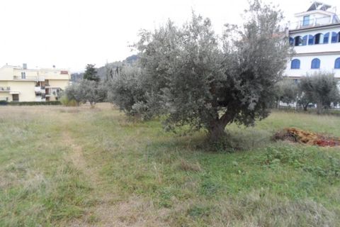 Tomt i Grottammare, Ascoli Piceno, Grottammare - € 1 300 000 | Ref: ter852 - foto 4