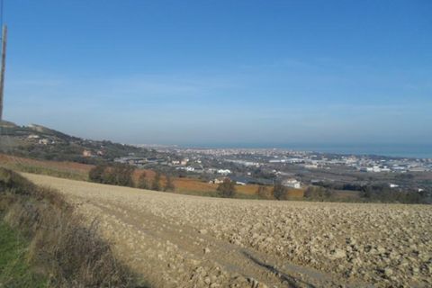 Landejendom i Martinsicuro, Teramo, Martinsicuro - € 1.600.000 | Ref: cas956 - foto 5