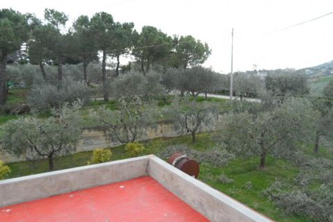 Villa - Monteprandone, Ascoli Piceno, Monteprandone - € 595 000 | Réf : cas1125 - photo 32