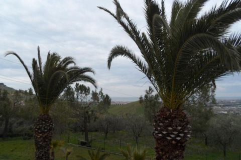 Villa - Monteprandone, Ascoli Piceno, Monteprandone - € 595 000 | Réf : cas1125 - photo 35