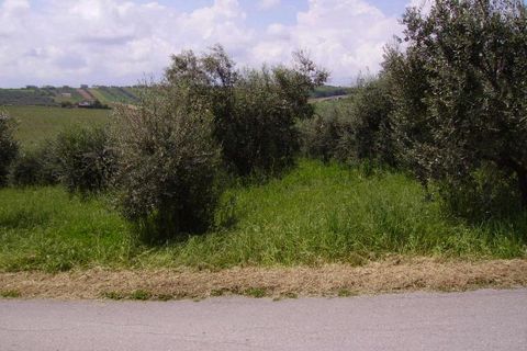 Landejendom i Colonnella, Teramo, Colonnella - € 170.000 | Ref: cas211 - foto 3