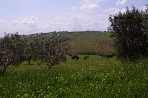Landejendom i Colonnella, Teramo, Colonnella - € 170.000 | Ref: cas211 - foto 4