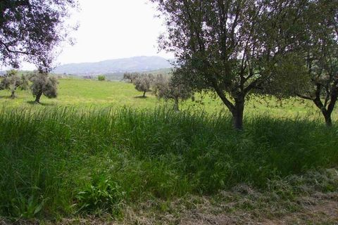Landejendom i Colonnella, Teramo, Colonnella - € 170.000 | Ref: cas211 - foto 5