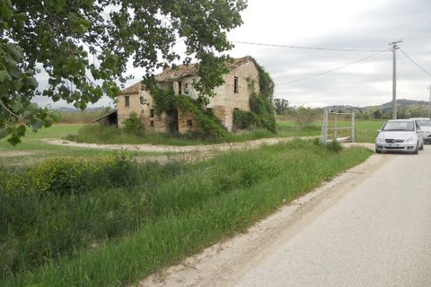 Landejendom i Controguerra, Teramo, Controguerra - € 250.000 | Ref: cas1323 - foto 2