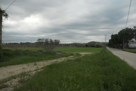 Landejendom i Controguerra, Teramo, Controguerra - € 250.000 | Ref: cas1323 - foto 3
