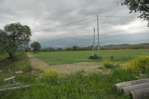 Landejendom i Controguerra, Teramo, Controguerra - € 250.000 | Ref: cas1323 - foto 4