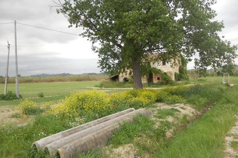 Landejendom i Controguerra, Teramo, Controguerra - € 250.000 | Ref: cas1323 - foto 5