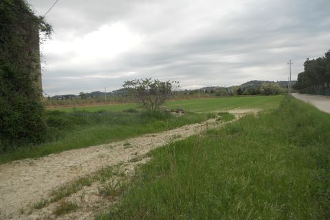 Landejendom i Controguerra, Teramo, Controguerra - € 250.000 | Ref: cas1323 - foto 8