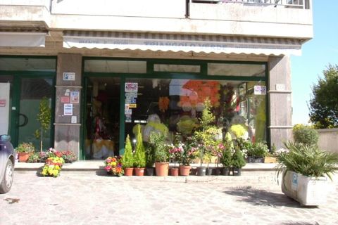 Erhvervsejendom i Spinetoli, Ascoli Piceno, Spinetoli - € 160.000 | Ref: loc1330 - foto 9