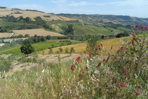 Landejendom i Acquaviva Picena, Ascoli Piceno, Acquaviva Picena - € 60.000 | Ref: cas1347 - foto 3