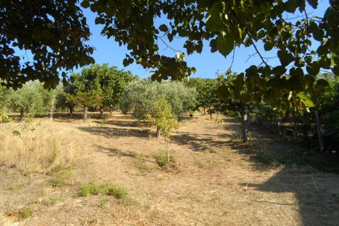 Helårsgrund i Colonnella, Teramo, Colonnella - € 110.000 | Ref: ter1328 - foto 2