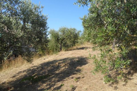 Helårsgrund i Colonnella, Teramo, Colonnella - € 110.000 | Ref: ter1328 - foto 5