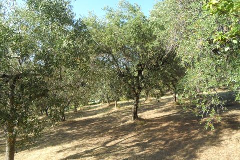 Helårsgrund i Colonnella, Teramo, Colonnella - € 110.000 | Ref: ter1328 - foto 6