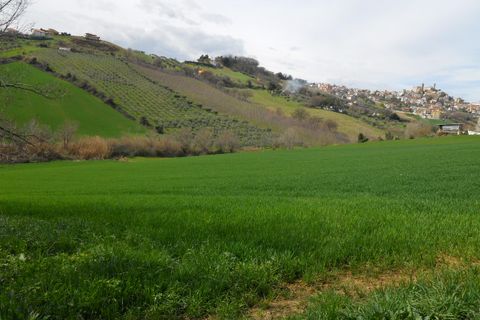 Landejendom i Colonnella, Teramo, Colonnella - € 1.200.000 | Ref: cas238 - foto 3
