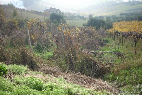 Landejendom i Monteprandone, Ascoli Piceno, Monteprandone - € 110.000 | Ref: cas232 - foto 4