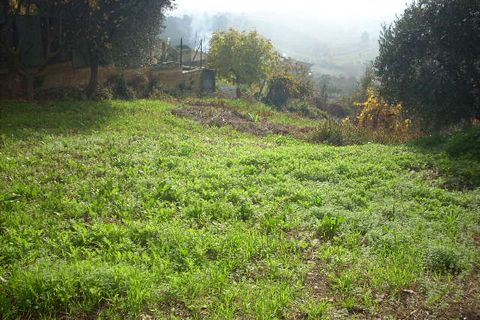 Landejendom i Monteprandone, Ascoli Piceno, Monteprandone - € 110.000 | Ref: cas232 - foto 7