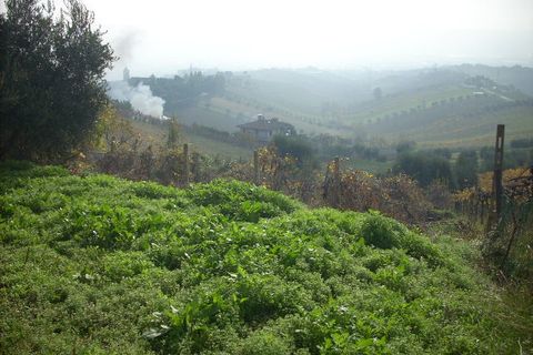 Landejendom i Monteprandone, Ascoli Piceno, Monteprandone - € 110.000 | Ref: cas232 - foto 8