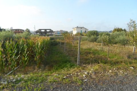 Helårsgrund i Monteprandone, Ascoli Piceno, Monteprandone - € 120.000 | Ref: ter294 - foto 1