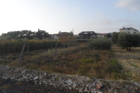 Helårsgrund i Monteprandone, Ascoli Piceno, Monteprandone - € 120.000 | Ref: ter294 - foto 2