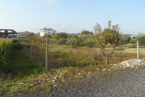 Helårsgrund i Monteprandone, Ascoli Piceno, Monteprandone - € 120.000 | Ref: ter294 - foto 4