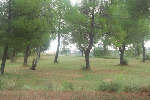 Helårsgrund i Massignano, Ascoli Piceno, Massignano - € 800.000 | Ref: ter1357 - foto 2