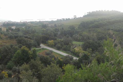 Helårsgrund i Massignano, Ascoli Piceno, Massignano - € 800.000 | Ref: ter1357 - foto 1