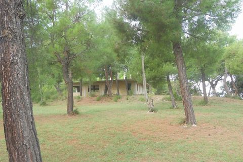 Helårsgrund i Massignano, Ascoli Piceno, Massignano - € 800.000 | Ref: ter1357 - foto 3