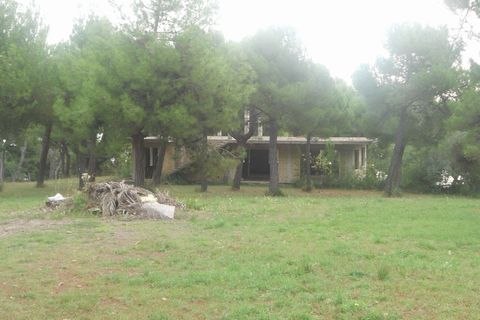 Helårsgrund i Massignano, Ascoli Piceno, Massignano - € 800.000 | Ref: ter1357 - foto 4