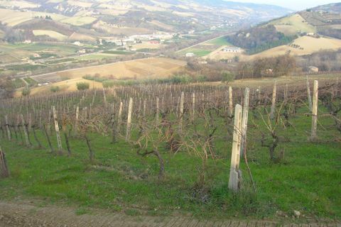 Villa i Ripatransone, Ascoli Piceno, Ripatransone - € 800.000 | Ref: cas409 - foto 2