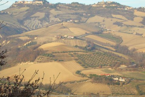Villa i Ripatransone, Ascoli Piceno, Ripatransone - € 800.000 | Ref: cas409 - foto 7