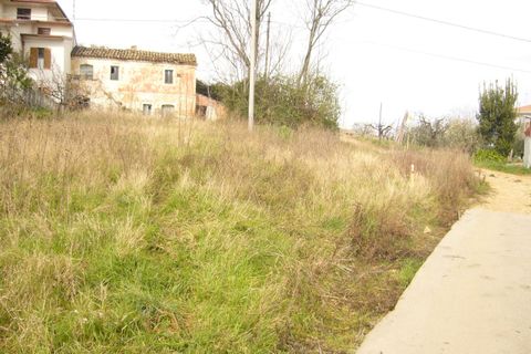 Helårsgrund i Colonnella, Teramo, Colonnella - € 90.000 | Ref: ter104 - foto 3