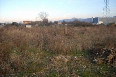 Helårsgrund i Spinetoli, Ascoli Piceno, Spinetoli - € 70.000 | Ref: ter266 - foto 2
