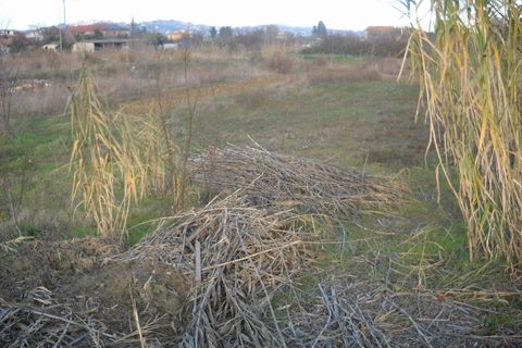 Helårsgrund i Spinetoli, Ascoli Piceno, Spinetoli - € 70.000 | Ref: ter266 - foto 4