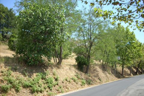 Helårsgrund i Colonnella, Teramo, Colonnella - € 200.000 | Ref: ter208 - foto 1