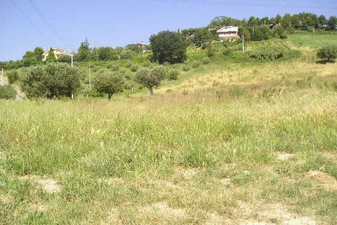Helårsgrund i Monteprandone, Ascoli Piceno, Monteprandone - € 170.000 | Ref: ter239 - foto 3