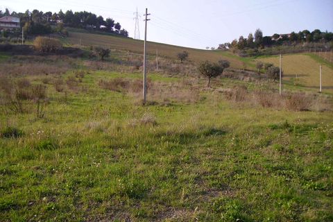 Helårsgrund i Monteprandone, Ascoli Piceno, Monteprandone - € 170.000 | Ref: ter239 - foto 4
