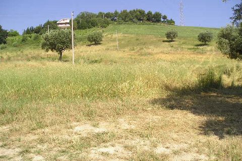 Helårsgrund i Monteprandone, Ascoli Piceno, Monteprandone - € 170.000 | Ref: ter239 - foto 6