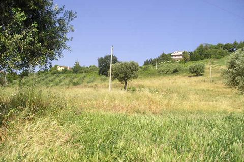 Helårsgrund i Monteprandone, Ascoli Piceno, Monteprandone - € 170.000 | Ref: ter239 - foto 7