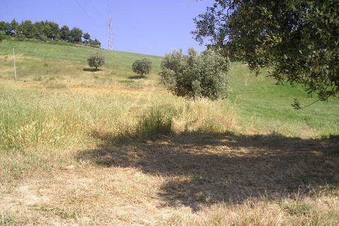 Helårsgrund i Monteprandone, Ascoli Piceno, Monteprandone - € 170.000 | Ref: ter239 - foto 8