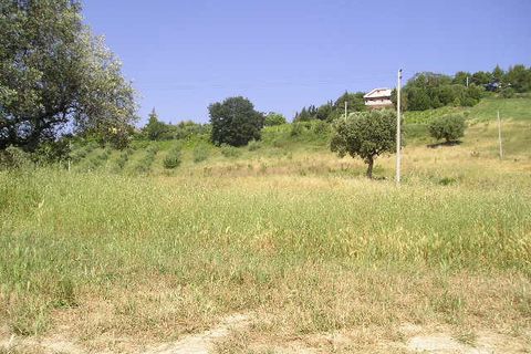Helårsgrund i Monteprandone, Ascoli Piceno, Monteprandone - € 170.000 | Ref: ter239 - foto 9