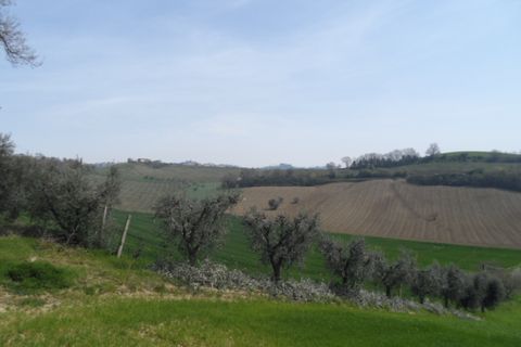Tomt i Acquaviva Picena, Ascoli Piceno, Acquaviva Picena - € 45 000 | Ref: ter241 - foto 2