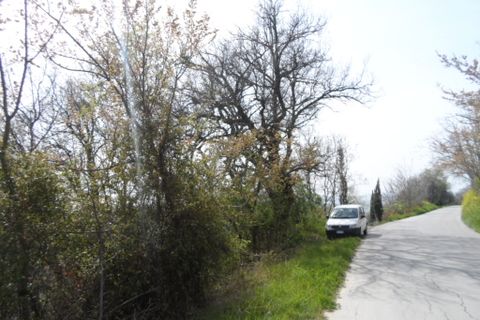 Tomt i Acquaviva Picena, Ascoli Piceno, Acquaviva Picena - € 45 000 | Ref: ter241 - foto 6