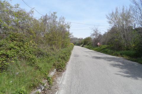Tomt i Acquaviva Picena, Ascoli Piceno, Acquaviva Picena - € 45 000 | Ref: ter241 - foto 8
