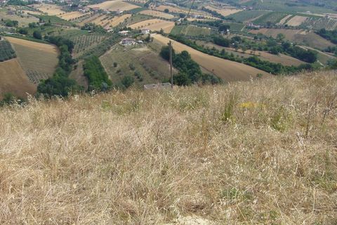 Landejendom i Controguerra, Teramo, Controguerra - € 130.000 | Ref: cas436 - foto 3