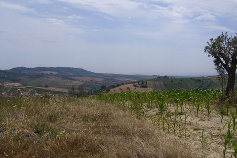 Landejendom i Controguerra, Teramo, Controguerra - € 130.000 | Ref: cas436 - foto 4