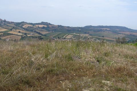 Landejendom i Controguerra, Teramo, Controguerra - € 130.000 | Ref: cas436 - foto 5